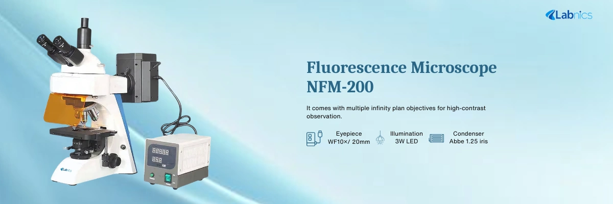 Fluorescence Microscope NFM-200 Fluorescence Microscope NFM-200